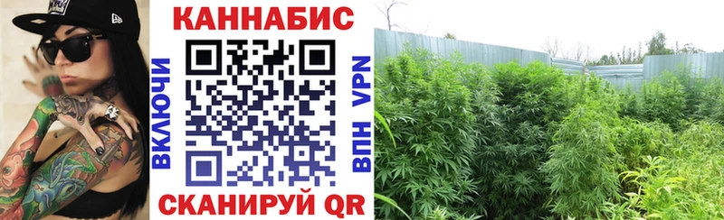 Виды наркотиков купить Черноголовка Бошки Шишки  Alpha PVP  Мефедрон  Кокаин 