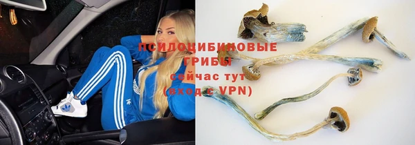 соль ск Волоколамск