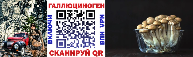Галлюциногенные грибы прущие грибы Черноголовка