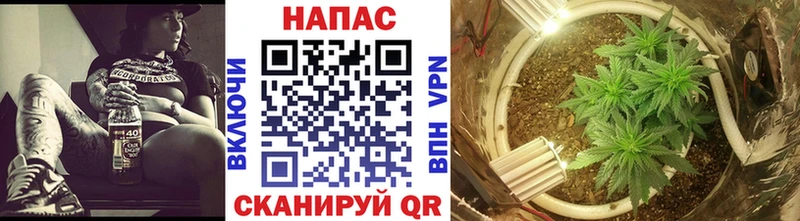 Конопля OG Kush  закладка  ссылка на мегу ТОР  Черноголовка 